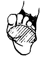 ttt
