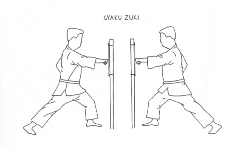 Disegni a cura di Roberto Scanferla