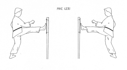 Disegni a cura di Roberto Scanferla