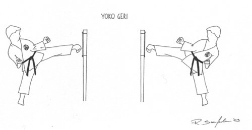 Disegni a cura di Roberto Scanferla