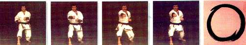 shin2.jpg (10314 byte)
